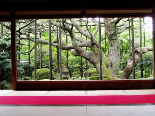 Illustration for article titled Bad Tourists Lead to Photography Ban at Japanese Temples